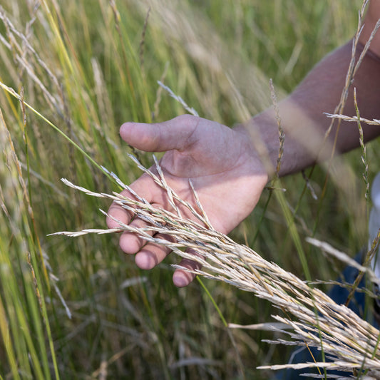 Patagonia Changed the Apparel Business. Can It Change Food, Too?