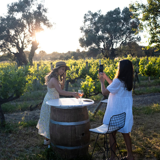 Napa on the Aegean: A Turkish Wine Region Re-emerges