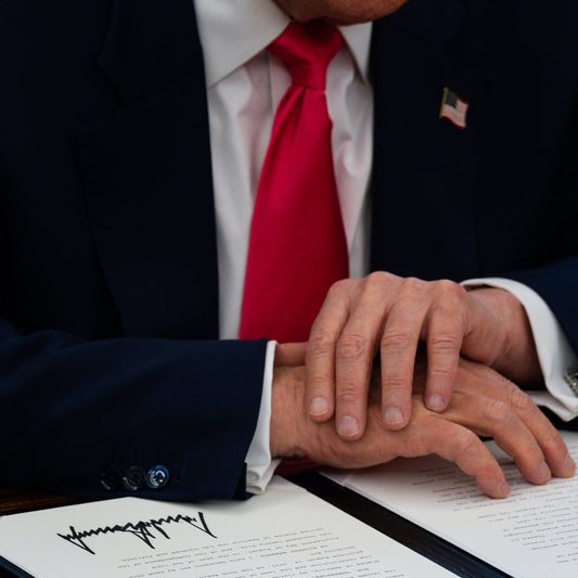 Corporate America’s Newest Activist Investor: Donald Trump