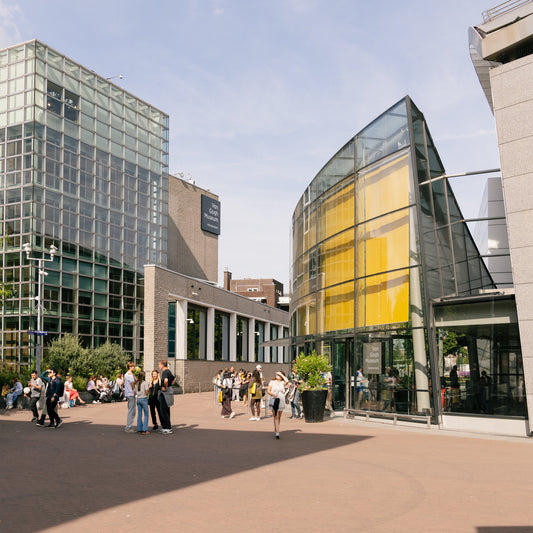 Van Gogh Museum in Fight With Dutch State That Threatens Its Future