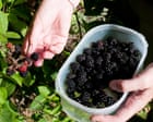 Wanted: bakes to make use of a glut of homemade jam | Kitchen aide