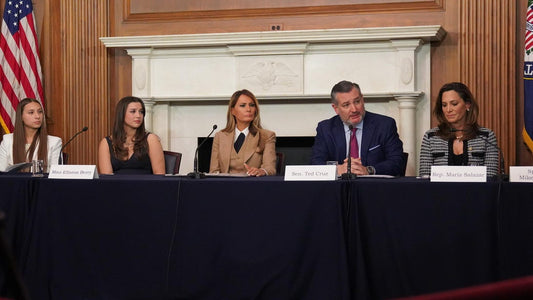 AI Regulation Moratorium Idea Isn't Dead as Ted Cruz Pushes Sandbox Act