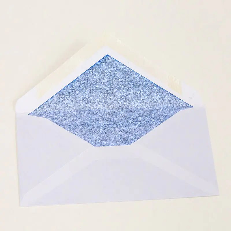 #6 3/4 Security Envelope w/ Gummed Closure (80/Pack) - Anti Spier - Anti Spier -