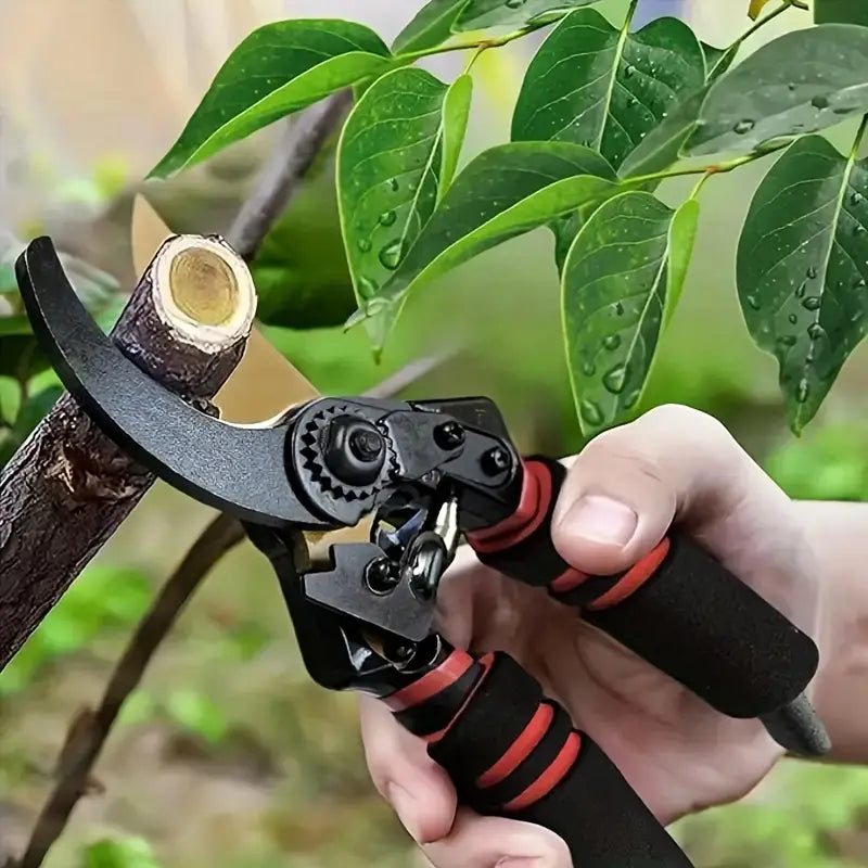 Branch Scissors for trimming and cutting plants with an ergonomic handle and sharp blades