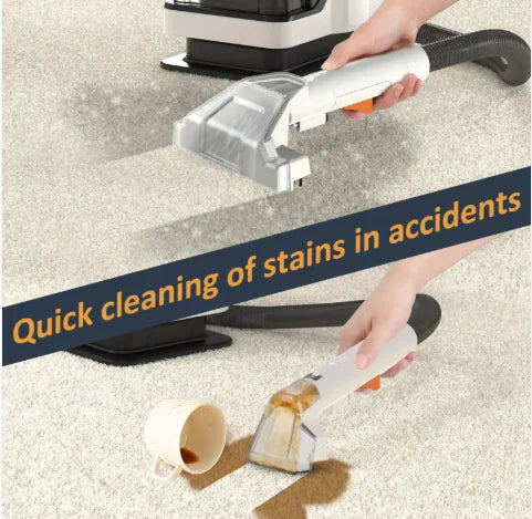 AutoClean Induction Spray