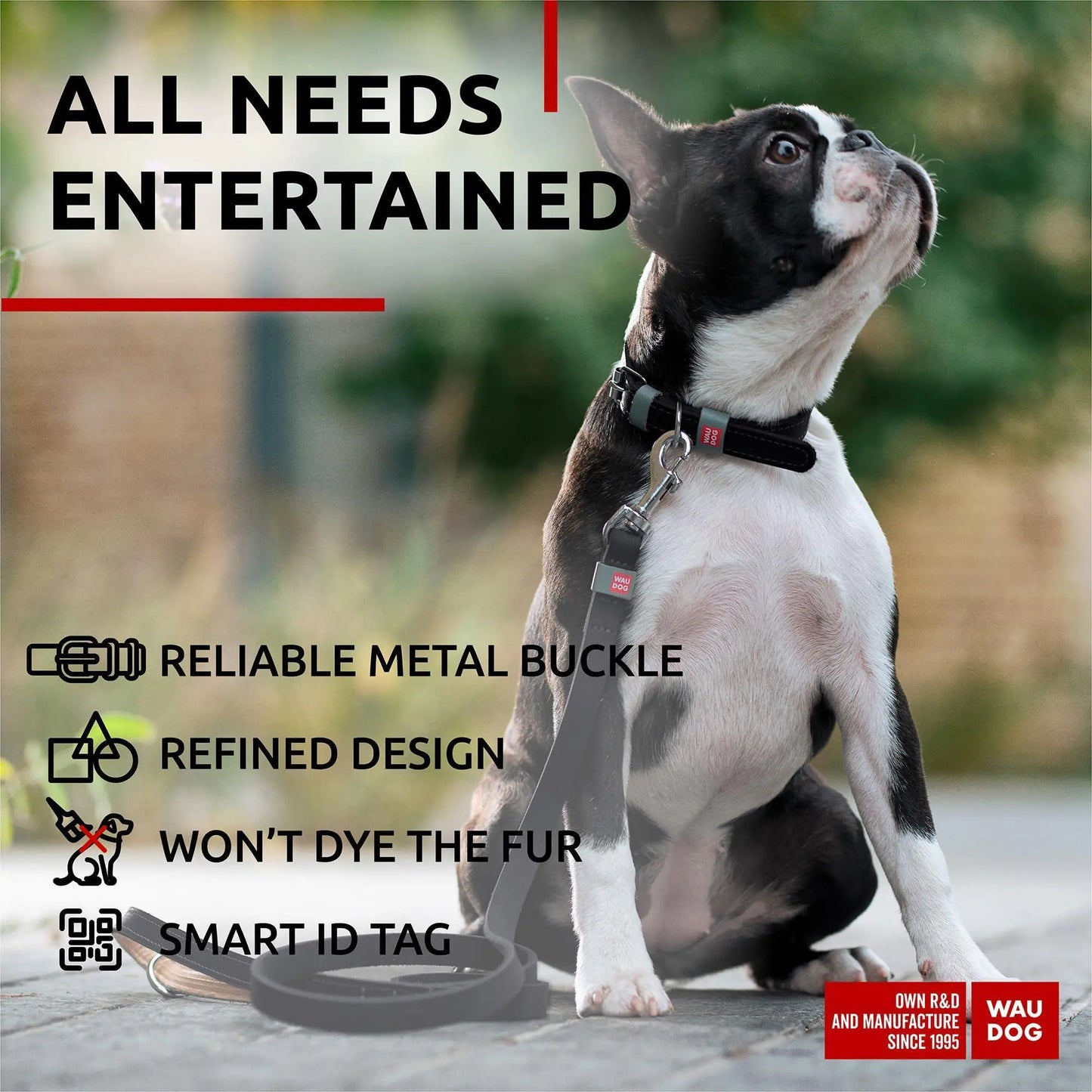 Long Lasting Leather Dog Collar for Large Dogs Medium Small Dogs 11 14 inch