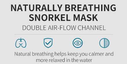Full Face Scuba Diving Mask