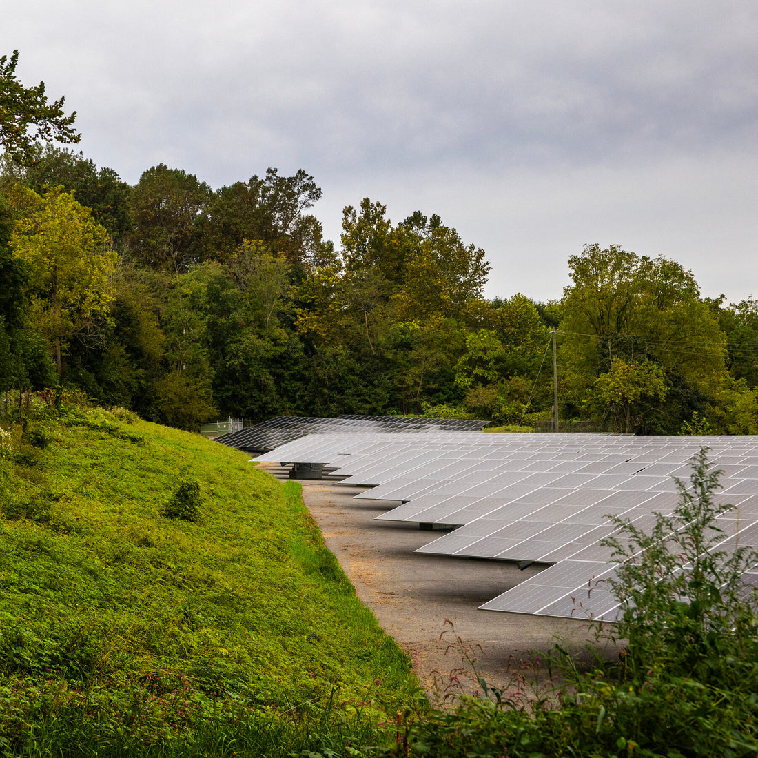 Renewable Energy Is Booming Despite Trump’s Efforts to Slow It