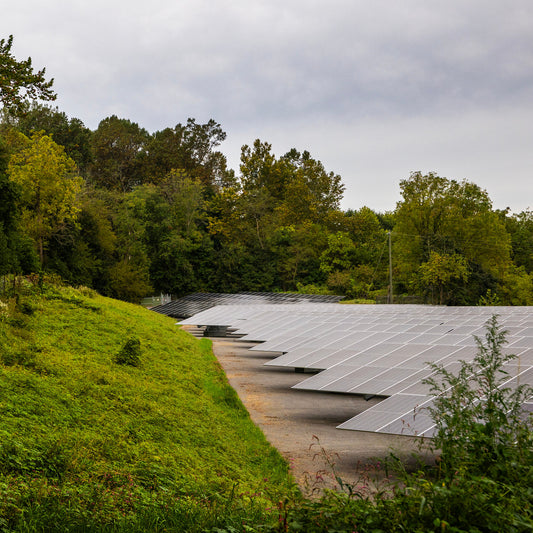 Renewable Energy Is Booming Despite Trump’s Efforts to Slow It