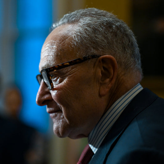 Schumer, Wary of Blowback, Holds Out on Mamdani