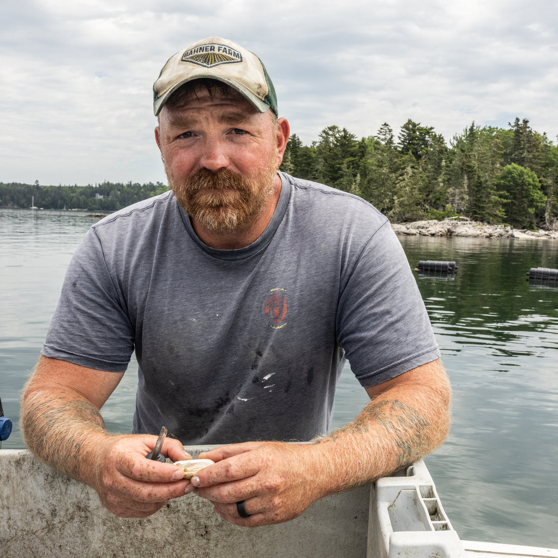 In the Battle for Congress, Working-Class Democrats Try a Hardscrabble Pitch