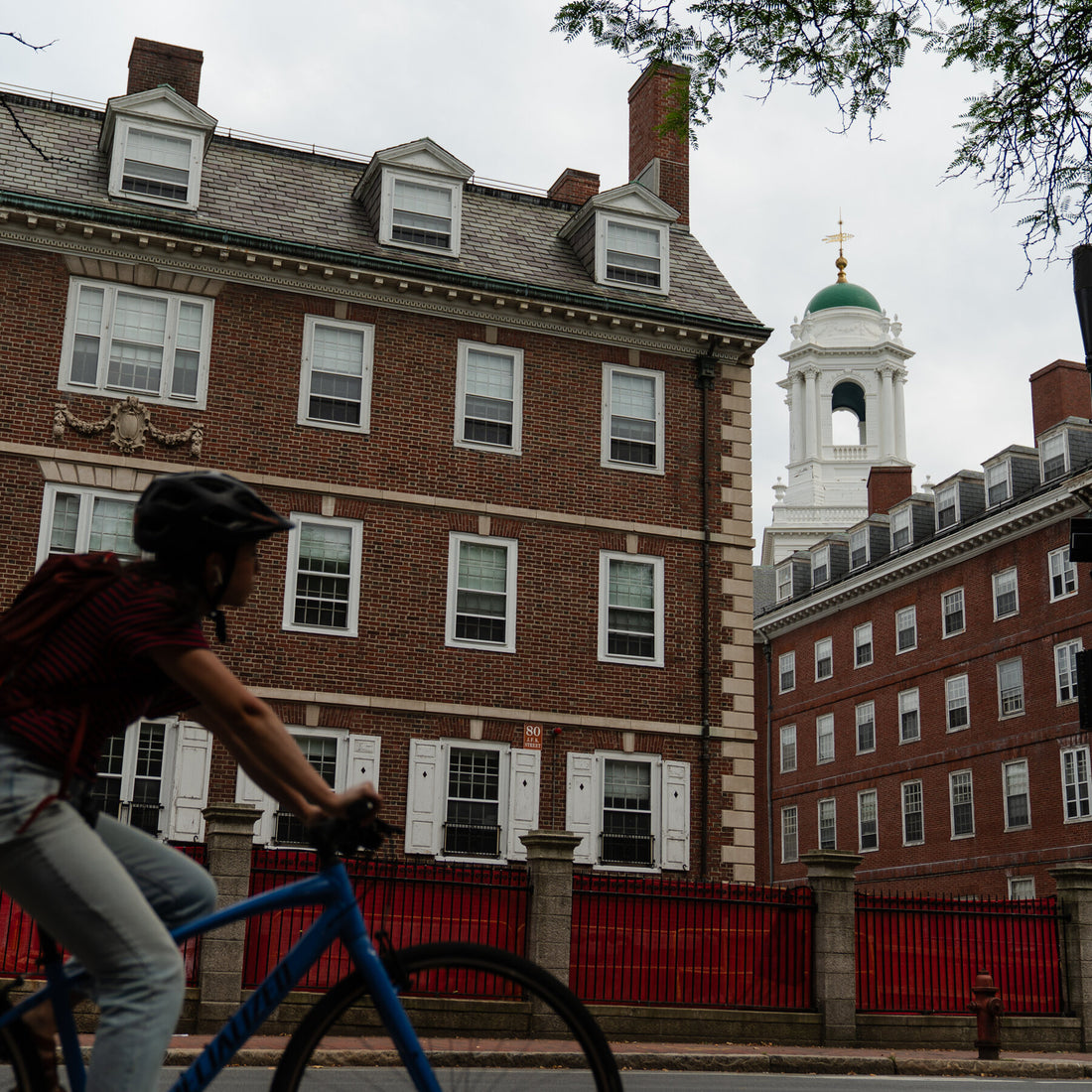 Judge Rules Trump Administration Illegally Canceled Harvard Funding
