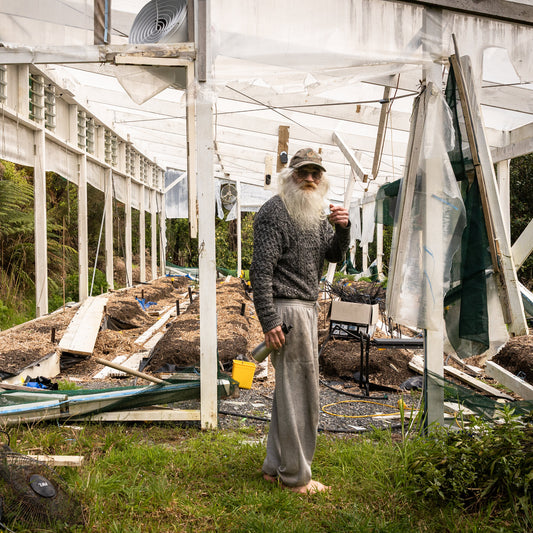 Medical Marijuana Grower in New Zealand Faces Criminal Charges