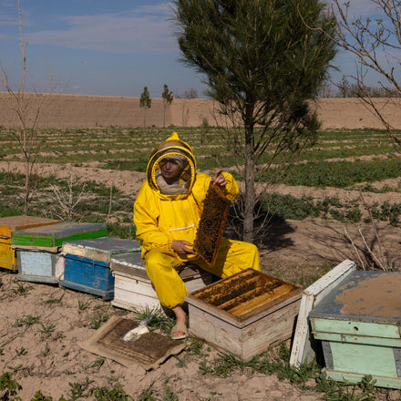 Afghan woman working at a desk