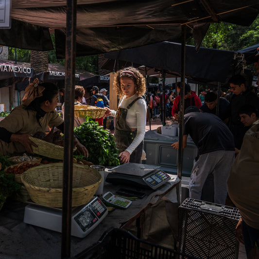 For These Women, the American Dream Is in Mexico City