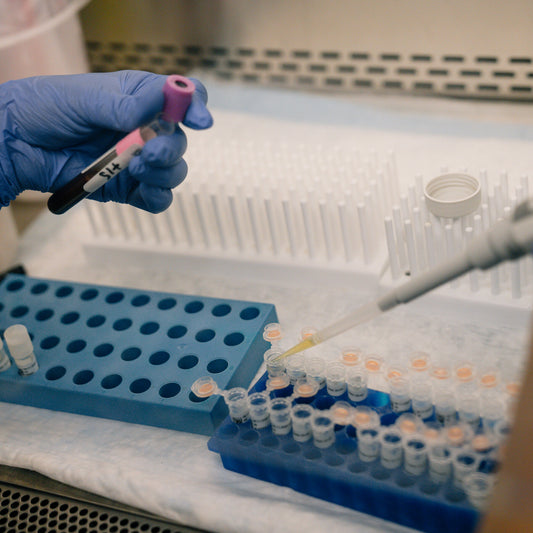 Judge Apologizes to Conservative Justices in Case Over N.I.H. Cuts