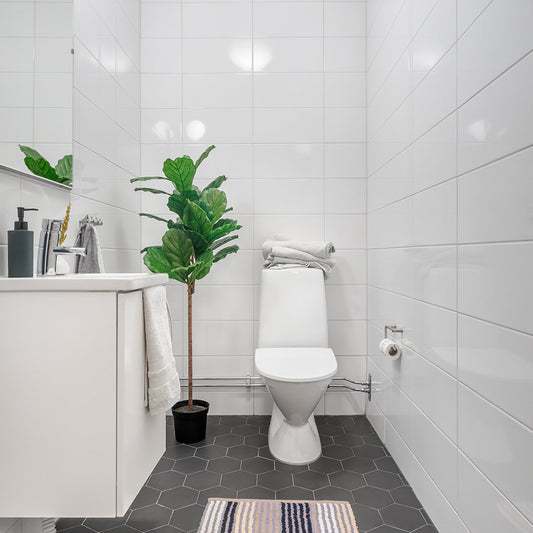 Are Nine Bathrooms Too Many?