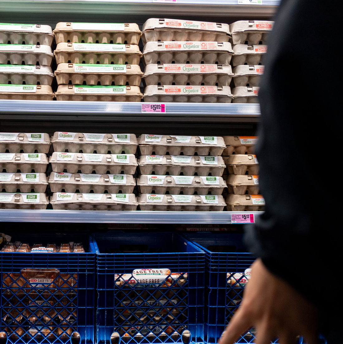 Egg cartons on a store shelf
