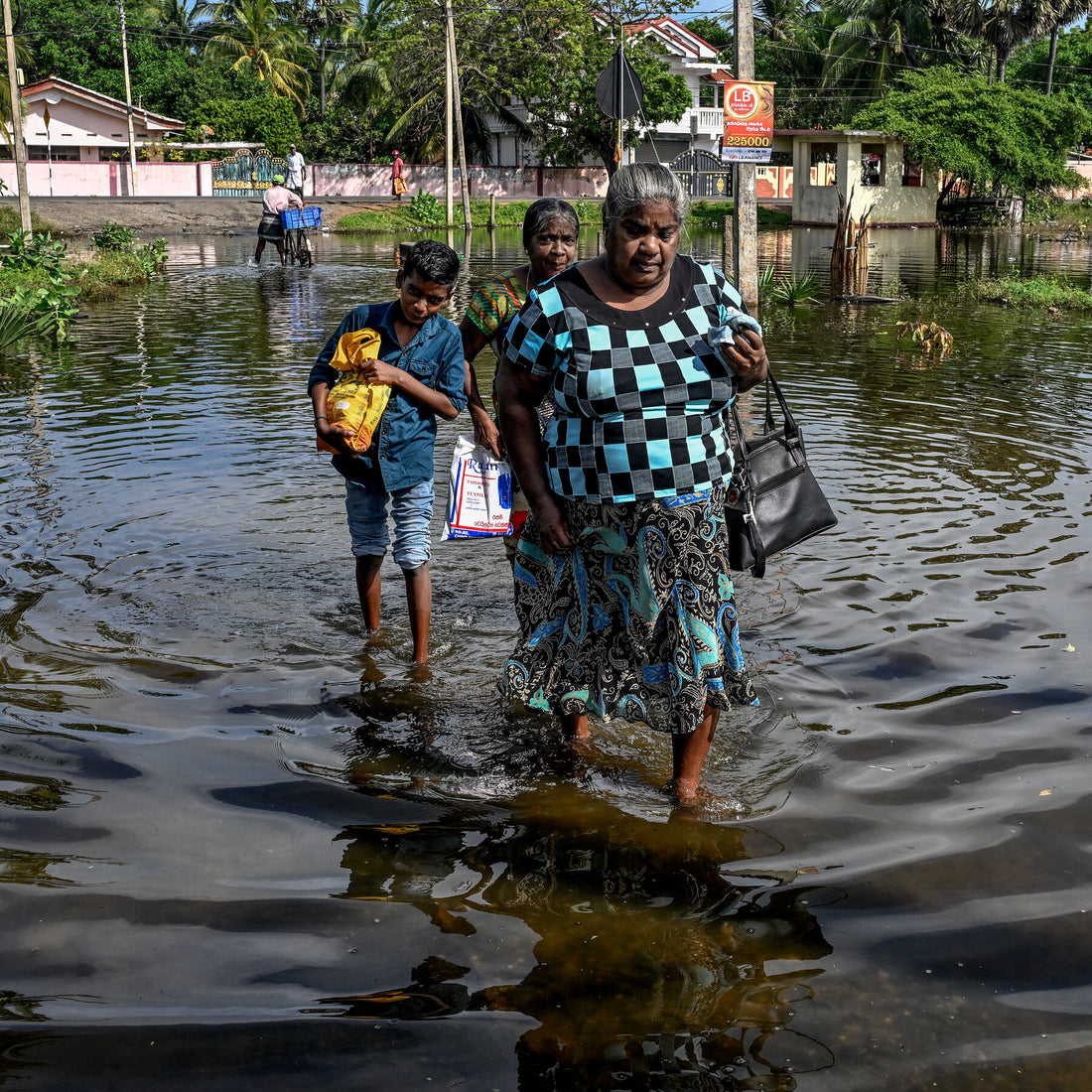 Ruined Rice Fields and Broken Rail Lines: Sri Lanka Counts Cost of Cyclone