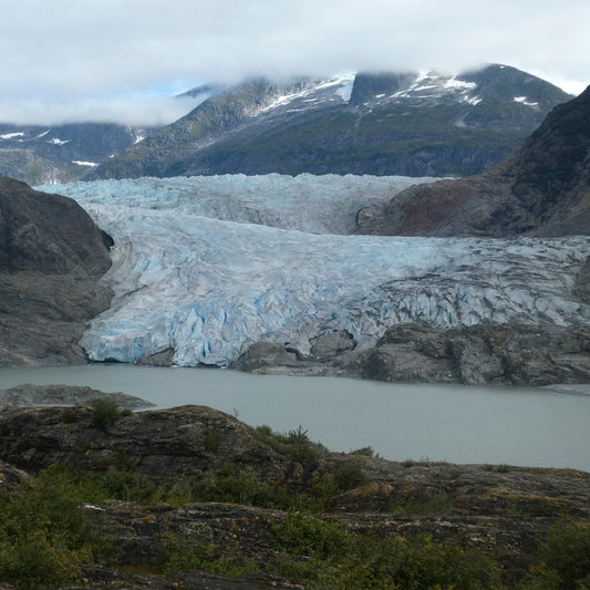 Researcher Is Feared Dead After Falling Into a Glacial Stream in Alaska