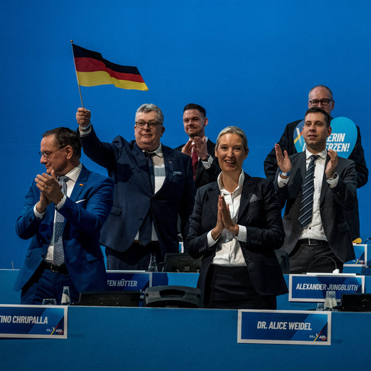 AfD Pushes to Publish German Information That Officials Say May Help Russia