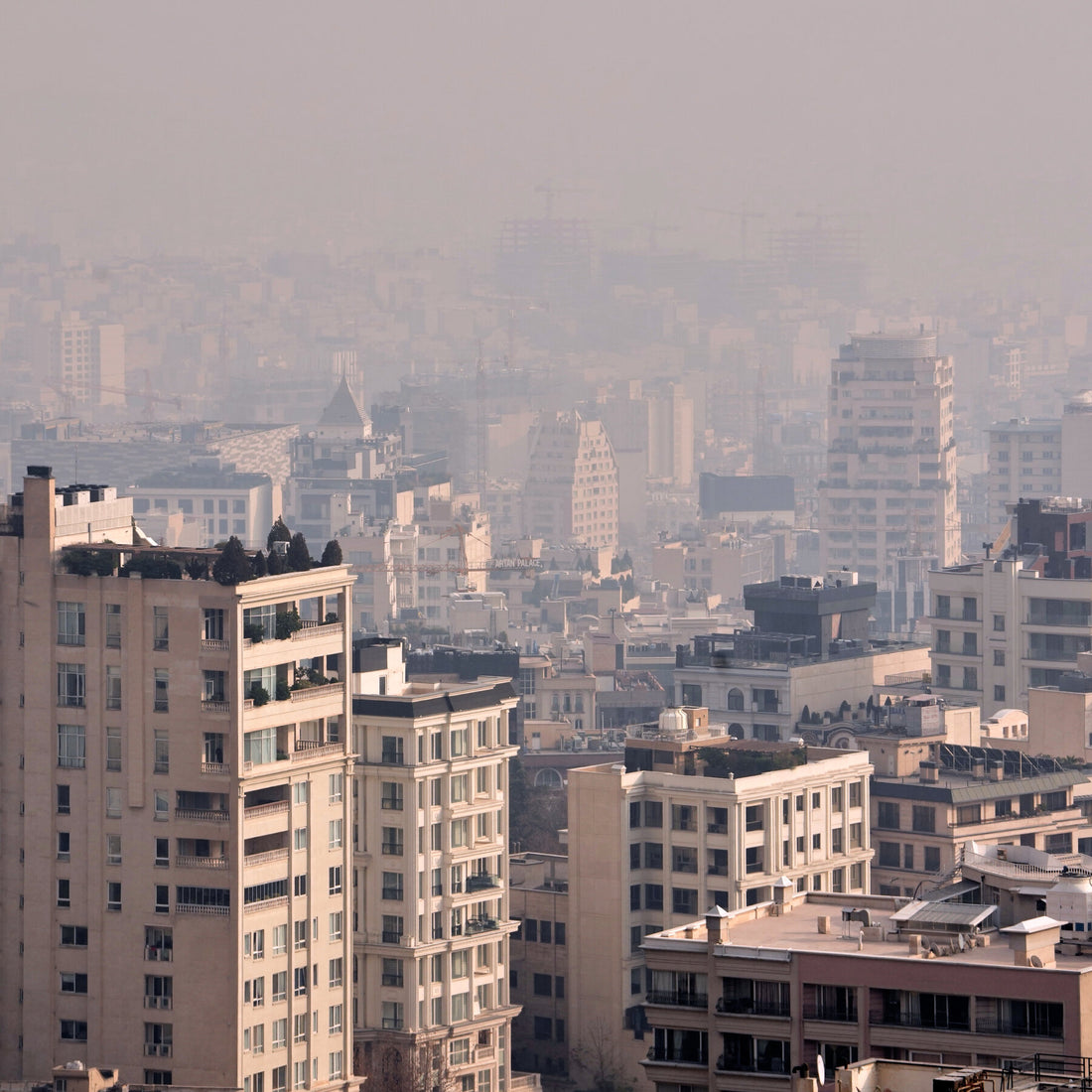 U.S. Deports Second Planeload of Iranians, Officials Say