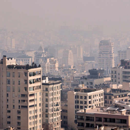 U.S. Deports Second Planeload of Iranians, Officials Say