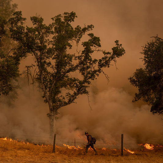 U.S. Wildfire Fighters to Mask Up After Decades-Long Ban on Smoke Protections
