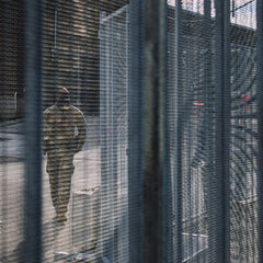 Judge Orders ICE to Remove Fence Around Facility Near Chicago