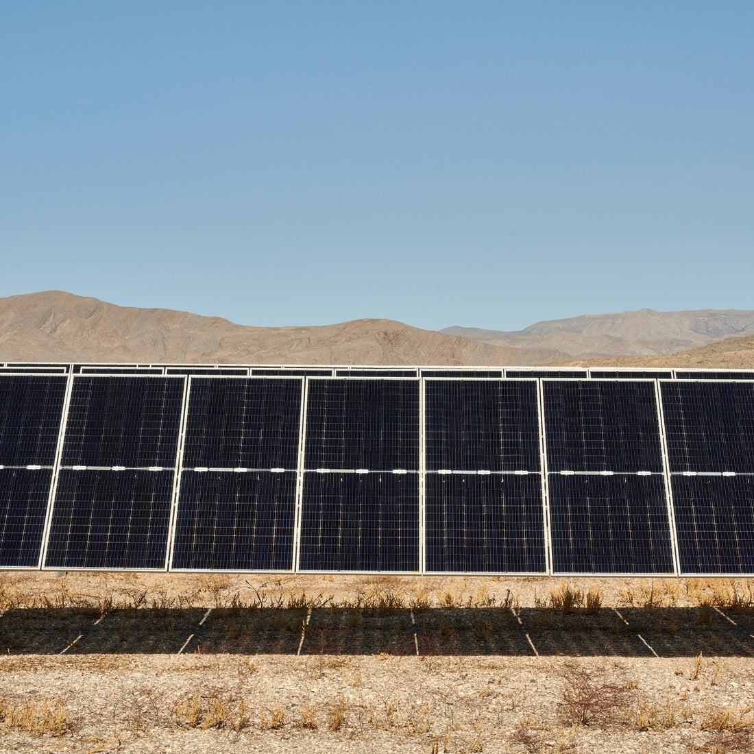 Trump Moves to Cancel Esmeralda 7, a Giant Solar Project