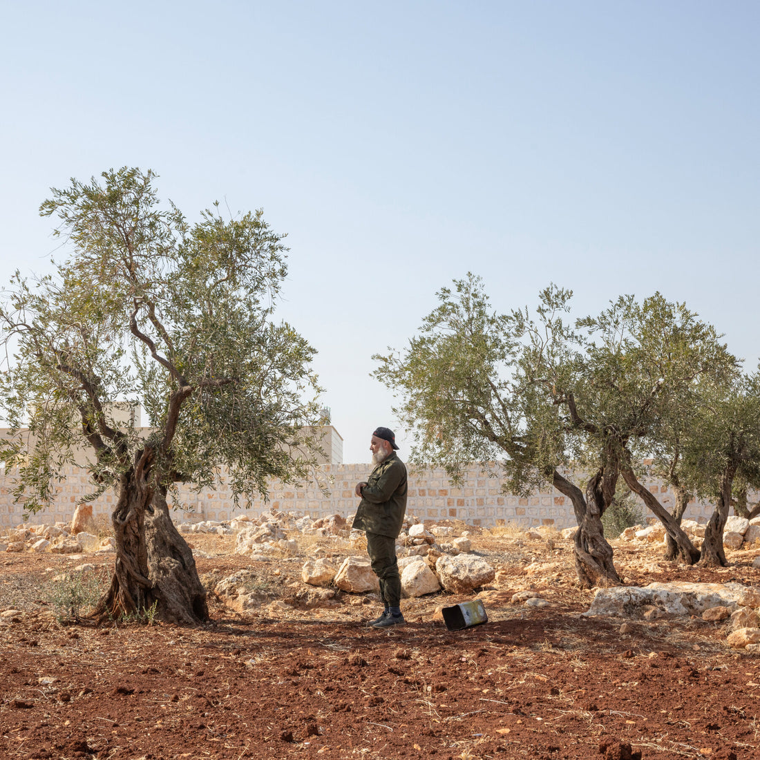 Syria al-Shara al-Baghdadi Trump