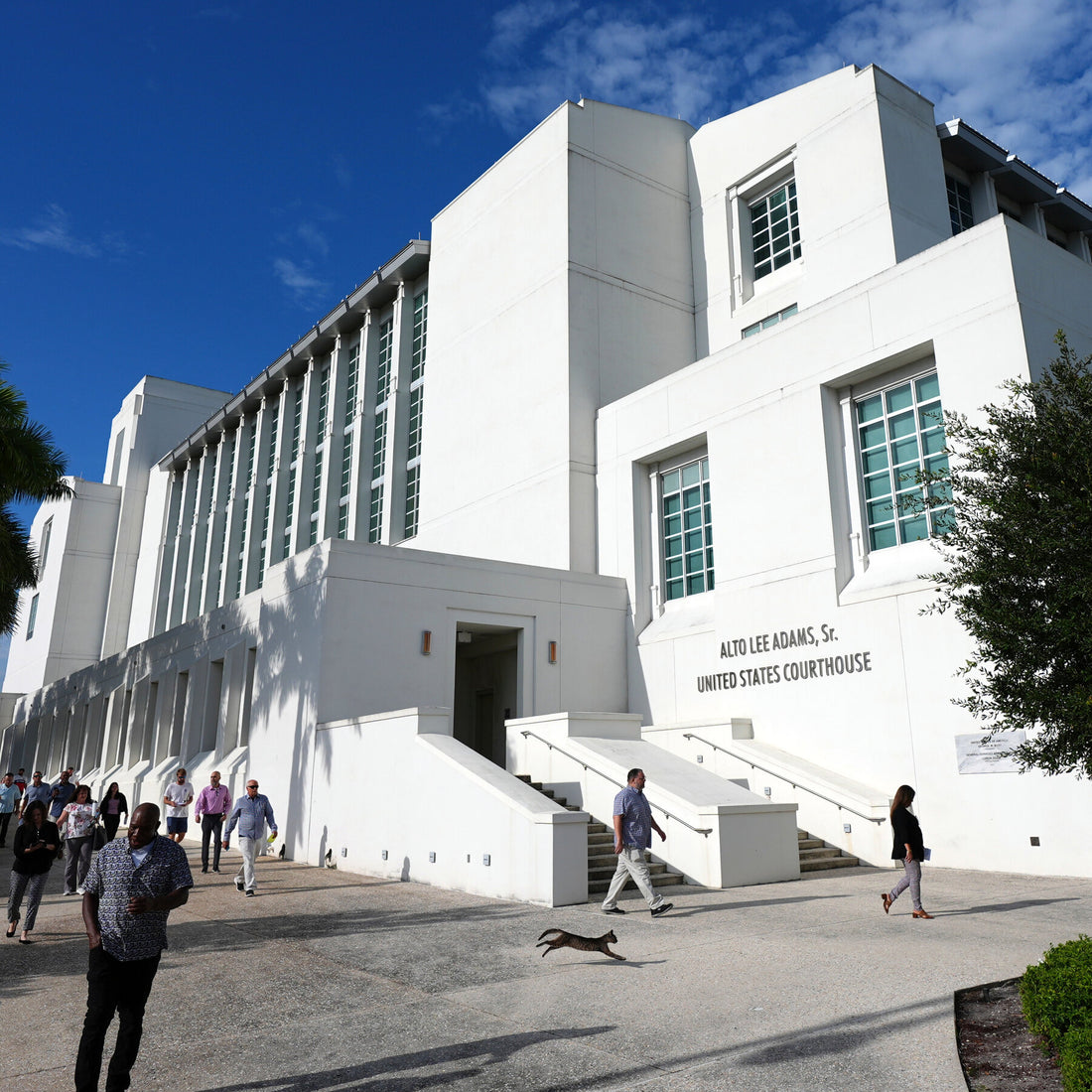 Ryan Routh, Defendant in Trump Assassination Attempt Trial, Gets Off to Shaky Start