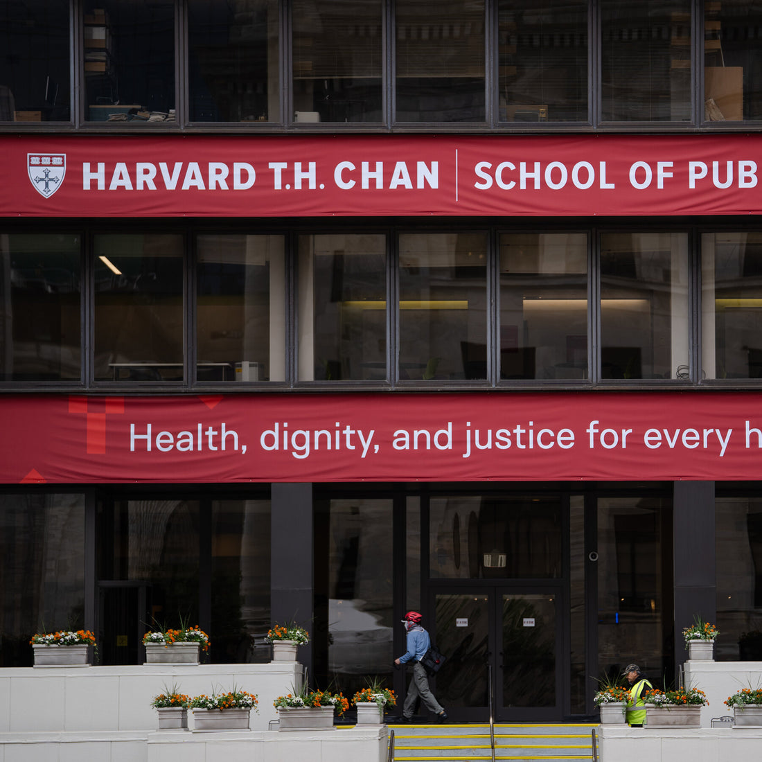 Harvard Replaces Leader of Health Center Said to Have Focused on Palestinians