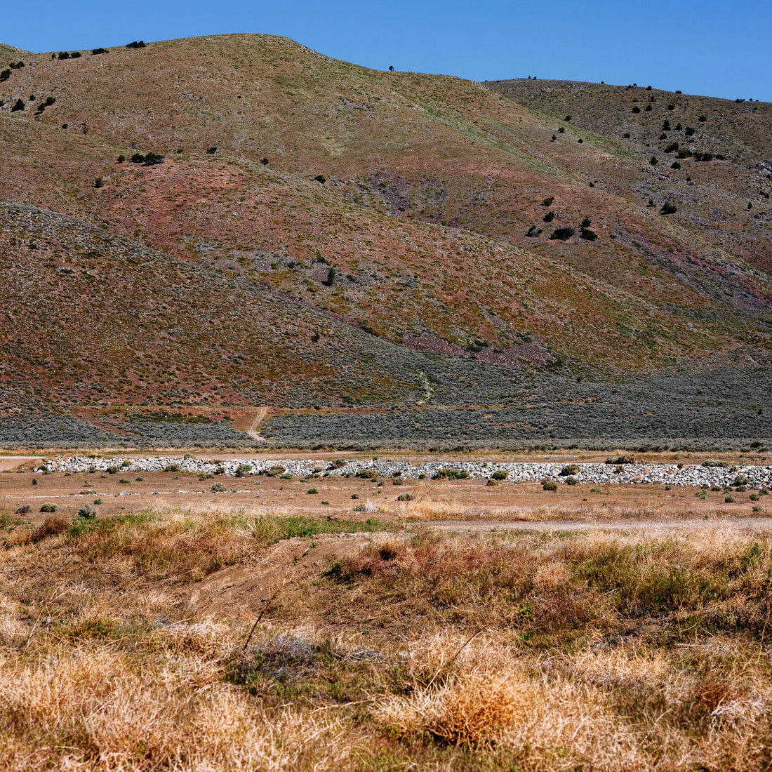 After False Earthquake Alert in Nevada, Lawmakers Demand Answers on How it Was Sent