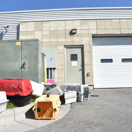 F.B.I. Burns Methamphetamine Near Animal Shelter, Sickening Workers and Pets