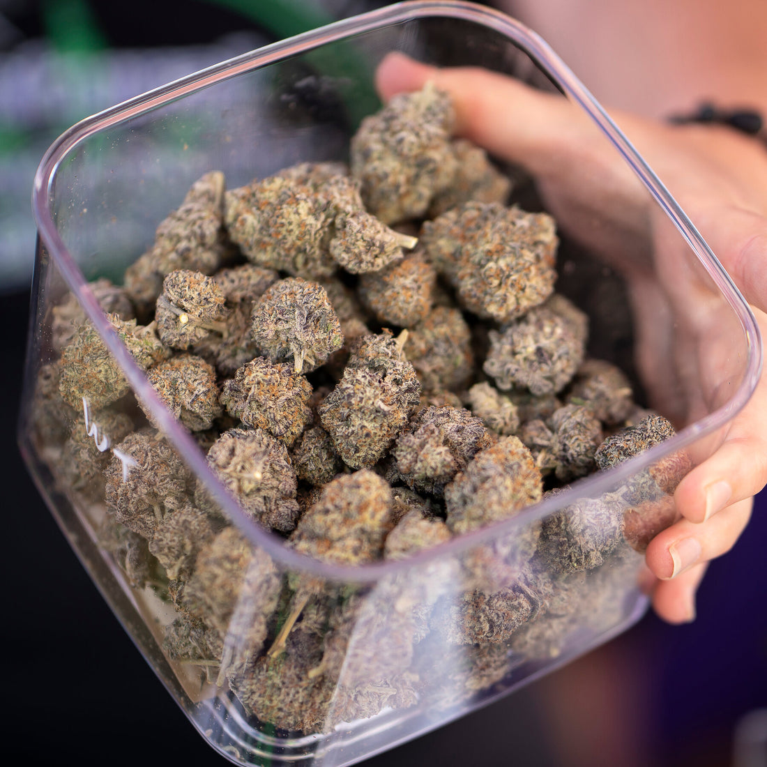 Pregnant Women Should Not Use Cannabis, New Medical Guidelines Say