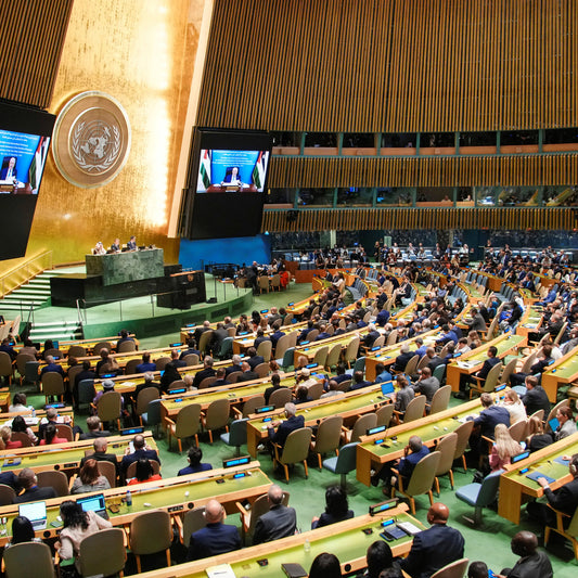 Live Updates: France and Other Nations Recognize Palestinian Statehood at U.N. Summit