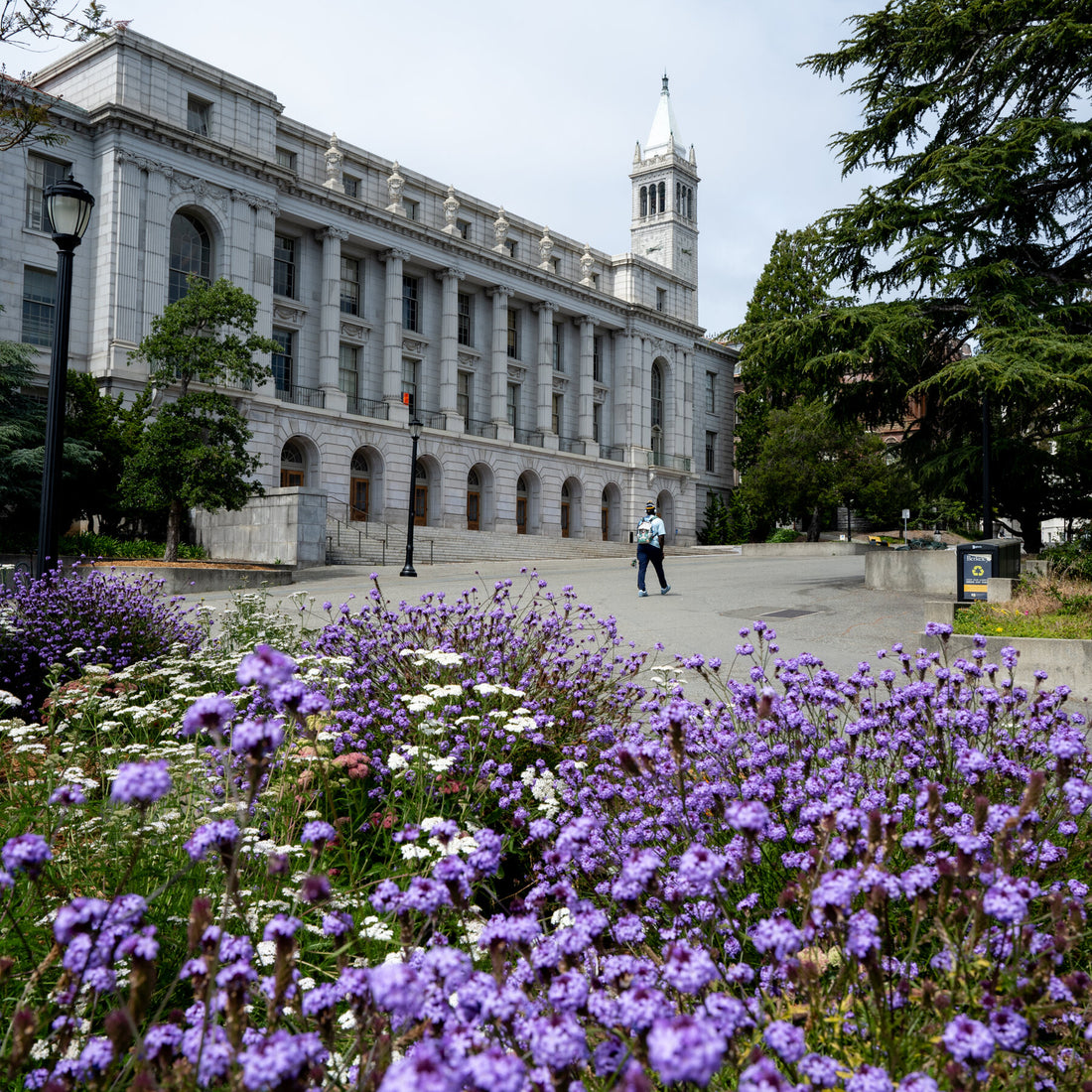 U.C. Berkeley Gives Names of Students and Faculty to Government for Antisemitism Probe