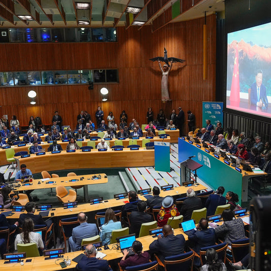 China, for First Time, Vows to Reduce Greenhouse Gas Emissions