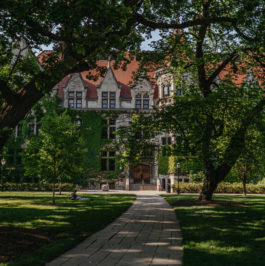 What Is College Like for You?