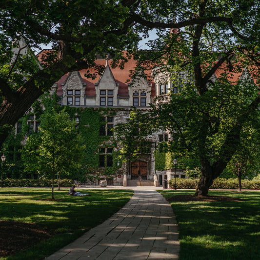 What Is College Like for You?