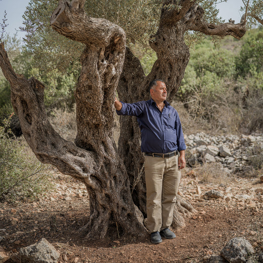 How Israel’s Settlement Surge in the West Bank Is Displacing Palestinians