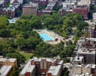 ‘The tree is trying its best’: why New Yorkers are counting – and rating – every park tree