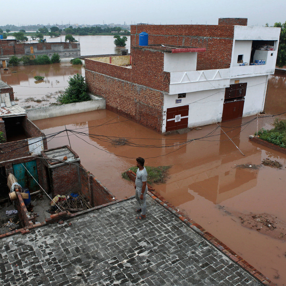 Punjab Floods Devastate Pakistan’s Breadbasket