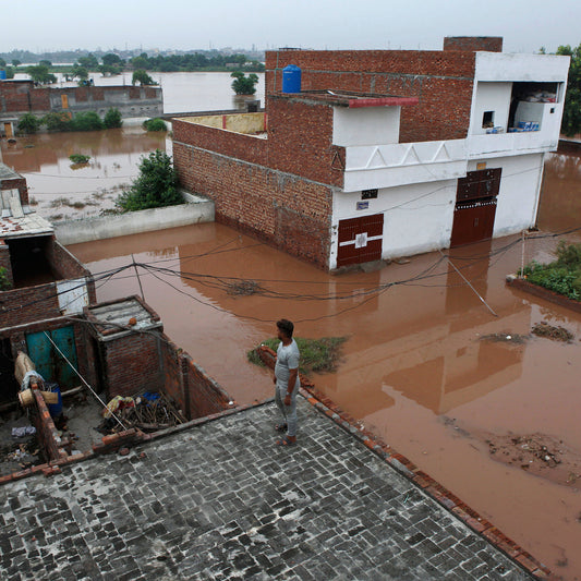 Punjab Floods Devastate Pakistan’s Breadbasket