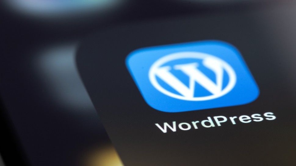 Paid WordPress users beware - worrying security flaw puts accounts and info at risk