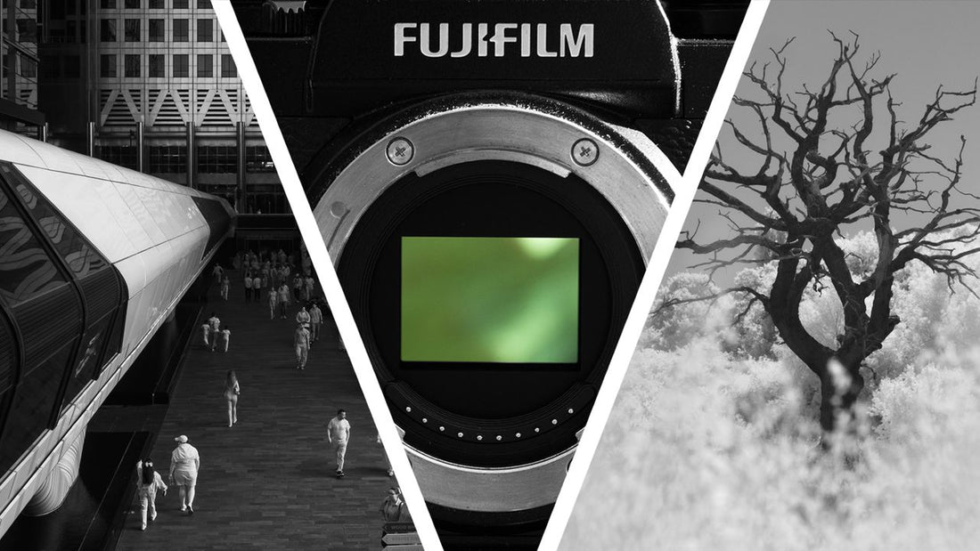 I turned my Fujifilm X-T3 into an infrared camera – and it's the best photography decision I've made in years