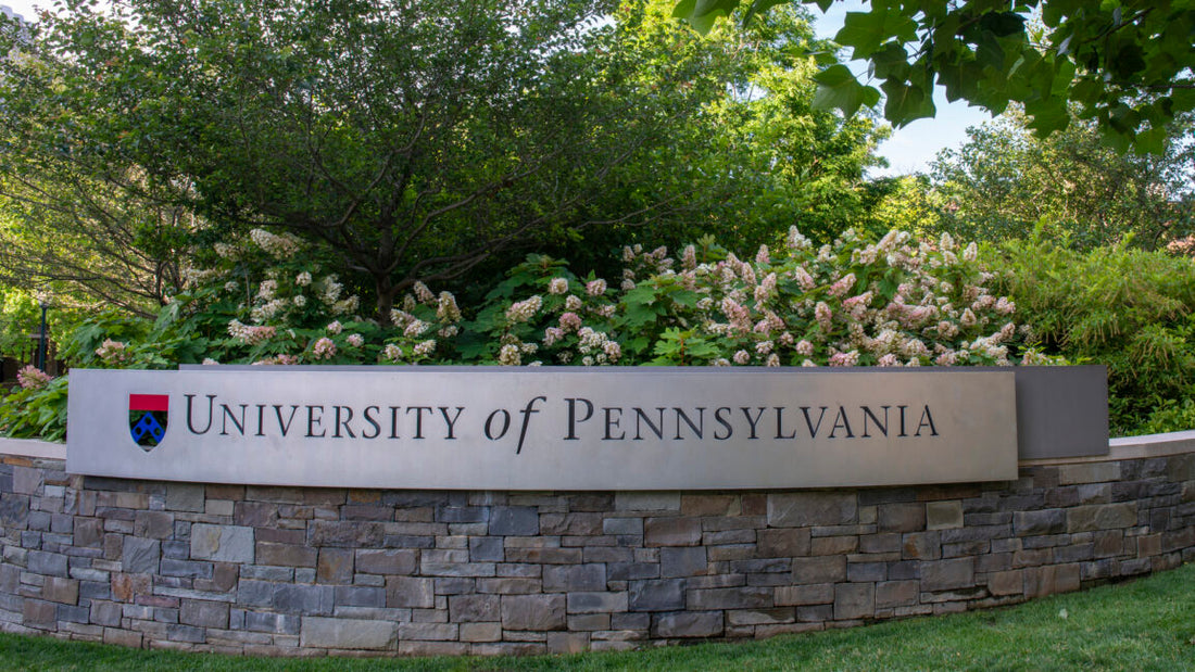 Musk and Trump both went to Penn—now hacked by someone sympathetic to their cause