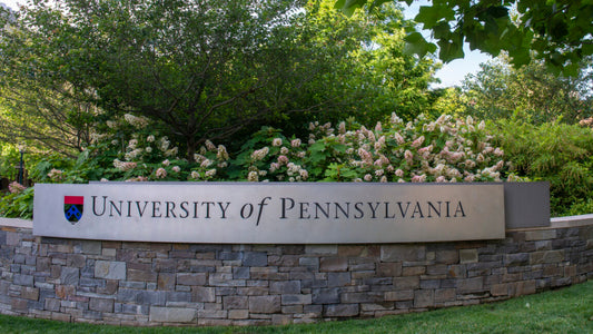 Musk and Trump both went to Penn—now hacked by someone sympathetic to their cause