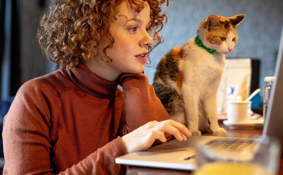 Want to stick with Windows 10 after October 2025? Here are your options – including how to get a free year of extra support